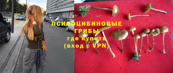 трава Нея